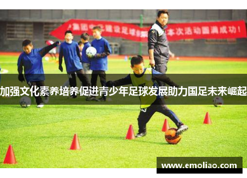 加强文化素养培养促进青少年足球发展助力国足未来崛起