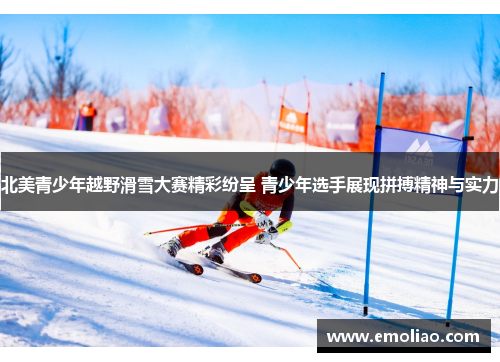 北美青少年越野滑雪大赛精彩纷呈 青少年选手展现拼搏精神与实力