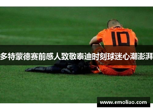 多特蒙德赛前感人致敬泰迪时刻球迷心潮澎湃