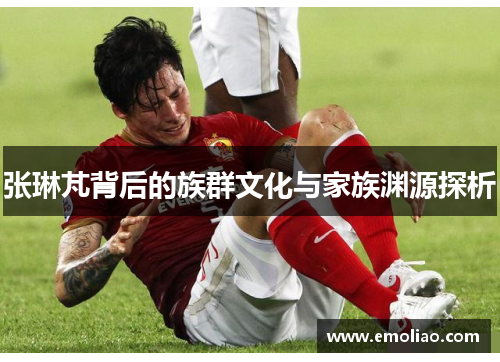 张琳芃背后的族群文化与家族渊源探析