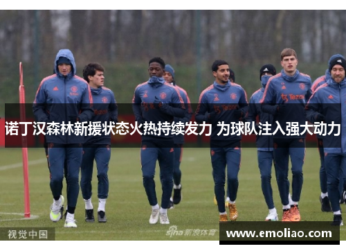 诺丁汉森林新援状态火热持续发力 为球队注入强大动力