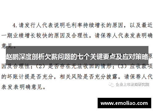 赵鹏深度剖析欠薪问题的七个关键要点及应对策略