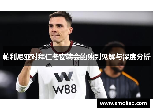 帕利尼亚对拜仁冬窗转会的独到见解与深度分析