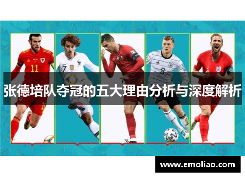 张德培队夺冠的五大理由分析与深度解析